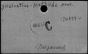 00082194.jpg