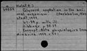 00091919.jpg