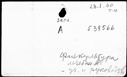 00095972.jpg