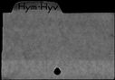00098283.jpg