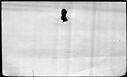 00104810.jpg