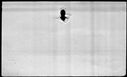00104994.jpg