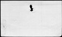00107676.jpg