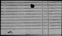 00110460.jpg