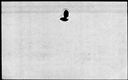 00112700.jpg