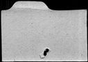 00113502.jpg