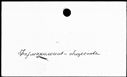 00119262.jpg