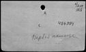 00119434.jpg