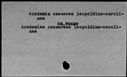 00124493.jpg