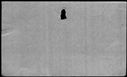 00124554.jpg