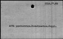 00128938.jpg