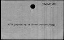 00129712.jpg