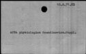 00129714.jpg