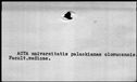 00130734.jpg