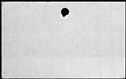 00252906.jpg