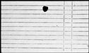 00254402.jpg
