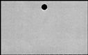 00142496.jpg