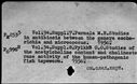00145851.jpg