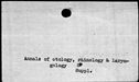 00146330.jpg