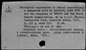 00163241.jpg