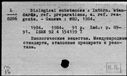 00163503.jpg