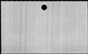 00163560.jpg