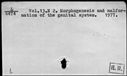 00164603.jpg