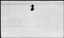 00165276.jpg