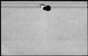 00165530.jpg