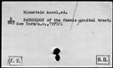 00165837.jpg