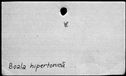 00167334.jpg