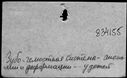 00167488.jpg