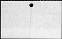 00168342.jpg