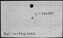 00258236.jpg