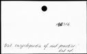 00172504.jpg