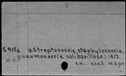 00174599.jpg