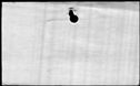 00176886.jpg