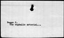 00177720.jpg