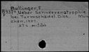 00178105.jpg