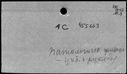 00262350.jpg