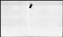 00264434.jpg