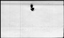 00265052.jpg