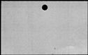 00266194.jpg