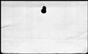 00266248.jpg