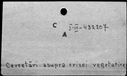 00182934.jpg