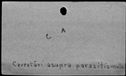00182942.jpg