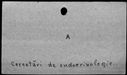 00182954.jpg