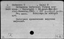 00183299.jpg