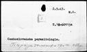 00183522.jpg