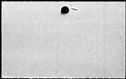 00183806.jpg